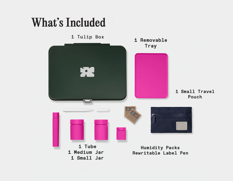 Tulip Set | forest-fuchsia